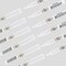 Risky's Tools of the Trade Platinum 1MM 6 Pack White Acrylic Paint Pens for Graffiti and Fine Art